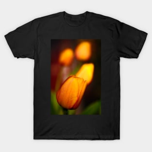 Glowing Tulip T-Shirt